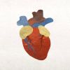 How Public Health Initiatives Are Shaping Heart Disease Prevention and Care