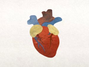 How Public Health Initiatives Are Shaping Heart Disease Prevention and Care