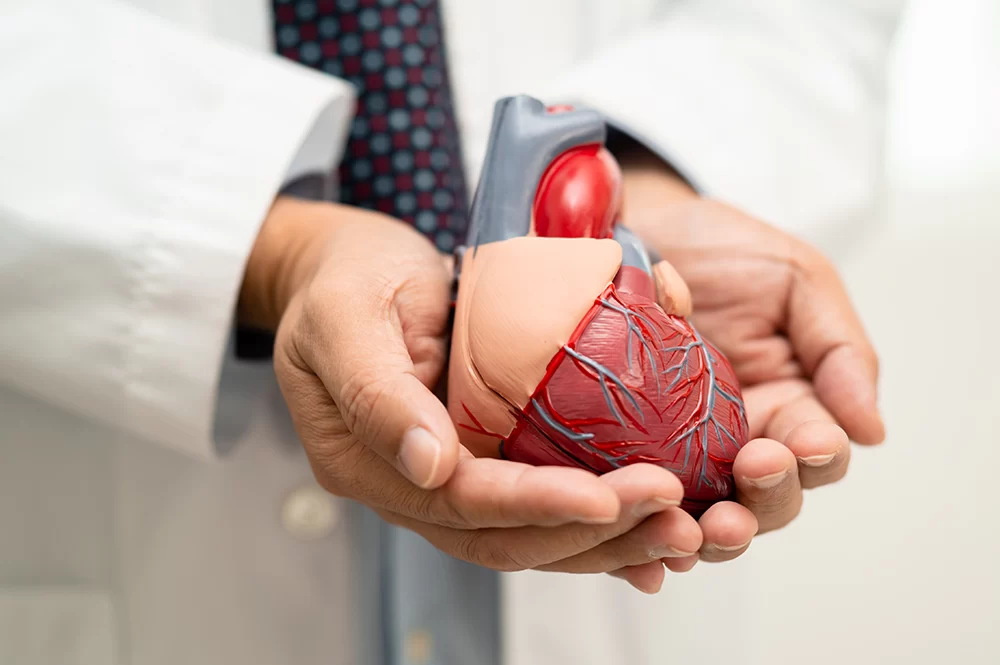 Effective Heart Disease and Alcohol Moderation Tips for Better Cardiovascular Health