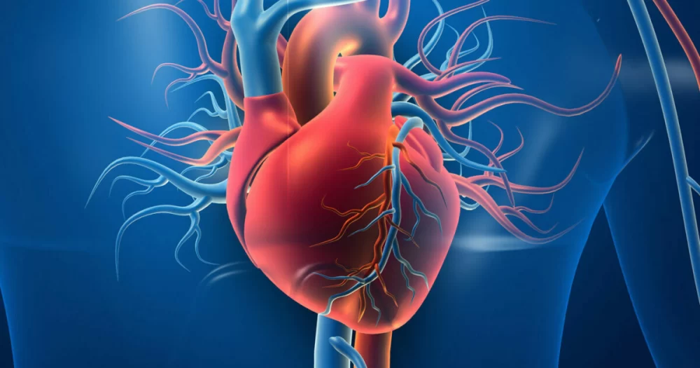 Understanding the Impact of Obesity on Heart Disease and Cardiovascular Health