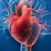 Understanding the Impact of Obesity on Heart Disease and Cardiovascular Health