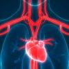 Comprehensive Guide to Heart Disease and Heart Transplant Recovery for Better Cardiac Health