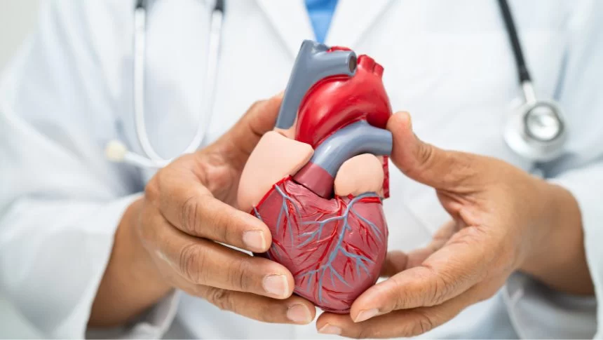 How Sleep Quality Impacts Heart Disease Risk and Overall Cardiovascular Health