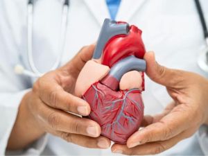 How Sleep Quality Impacts Heart Disease Risk and Overall Cardiovascular Health