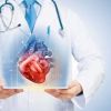 Comprehensive Insights into Heart Disease and Cardiovascular Fitness Tests