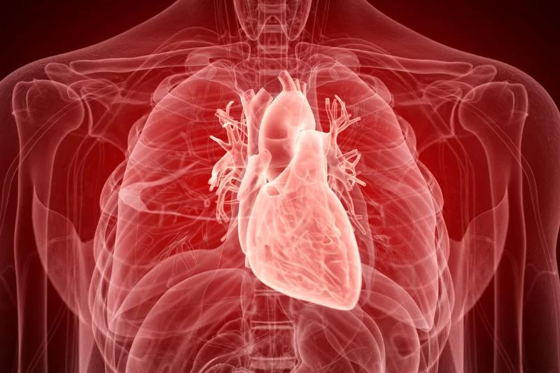 Exploring the Role of Omega-6 Fatty Acids in Heart Disease Prevention and Health