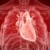 Exploring the Role of Omega-6 Fatty Acids in Heart Disease Prevention and Health
