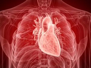 Exploring the Role of Omega-6 Fatty Acids in Heart Disease Prevention and Health