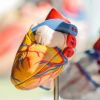 Effective Stress Management to Protect Heart Health and Prevent Heart Disease