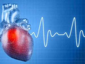 Why Regular Checkups Are Crucial for Preventing and Managing Heart Disease