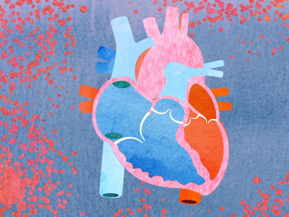 Effective Heart Health Monitoring Strategies to Prevent Heart Disease