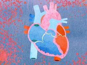 Effective Heart Health Monitoring Strategies to Prevent Heart Disease