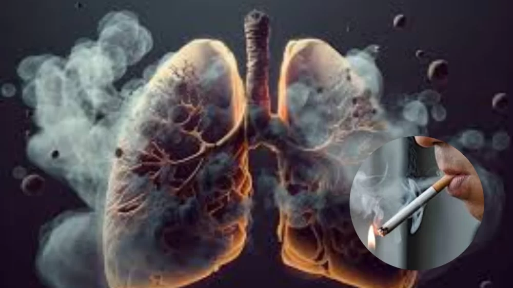 How Smoking Affects Heart Disease Risk: In-Depth Analysis and Real-Life Insights