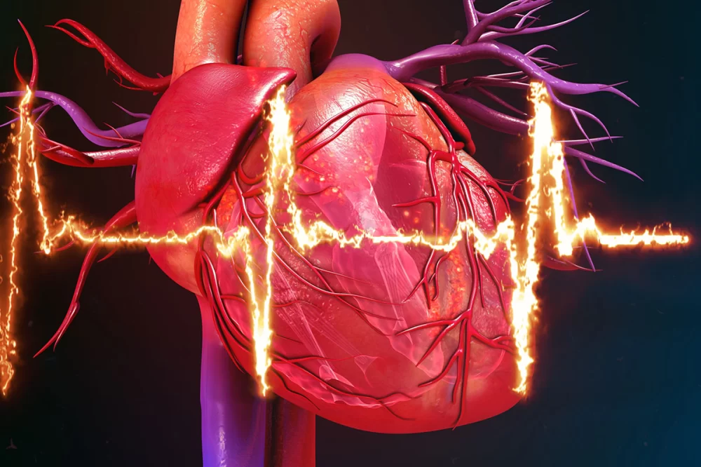 Understanding Heart Disease and the Role of Heart Imaging Tests in Diagnosis