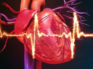 Understanding Heart Disease and the Role of Heart Imaging Tests in Diagnosis