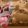 How Urban Living Influences Heart Disease Risk and What You Can Do