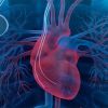 Understanding Heart Disease and the Importance of Clinical Trial Participation for Better Treatments