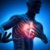 Effective Healthy Eating Strategies for Heart Disease Recovery After a Heart Attack