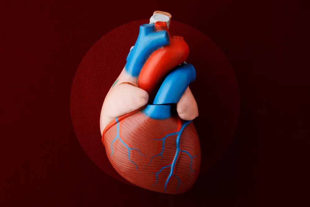 The Impact of Plastic-Related Chemicals on Heart Disease Risk and Prevention Strategies