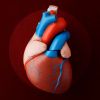 The Impact of Plastic-Related Chemicals on Heart Disease Risk and Prevention Strategies