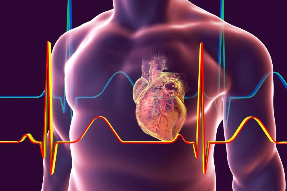Recognizing Heart Attack Symptoms and Understanding Heart Disease Risks