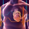Recognizing Heart Attack Symptoms and Understanding Heart Disease Risks