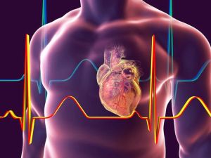 Recognizing Heart Attack Symptoms and Understanding Heart Disease Risks