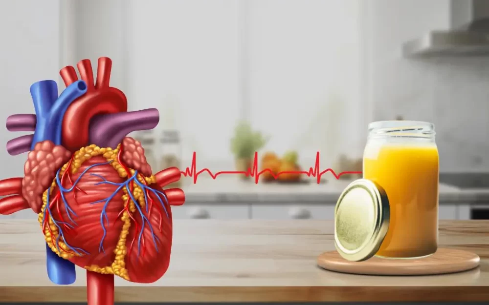 Debunking Heart Disease and Cholesterol Myths for Better Heart Health