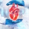 Effective Heart Surgery Recovery and Managing Heart Disease with Expert Care