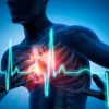 Comprehensive Heart Disease Symptoms Checklist to Recognize Early Warning Signs