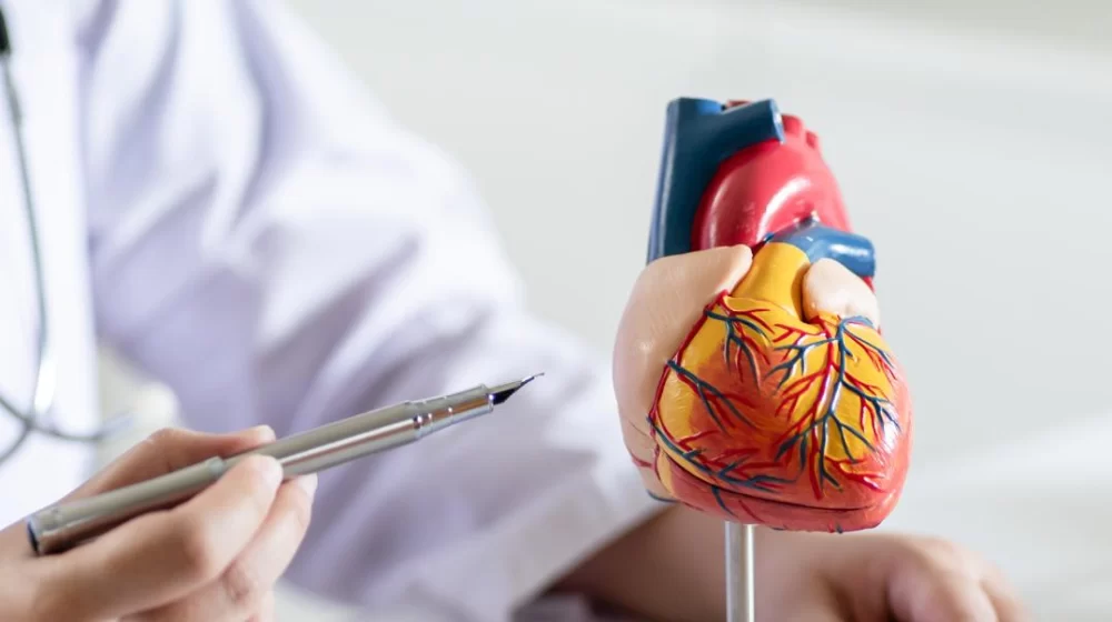 Understanding Heart Disease and Lifestyle Risk Factors for Better Cardiovascular Health