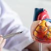 Understanding Heart Disease and Lifestyle Risk Factors for Better Cardiovascular Health