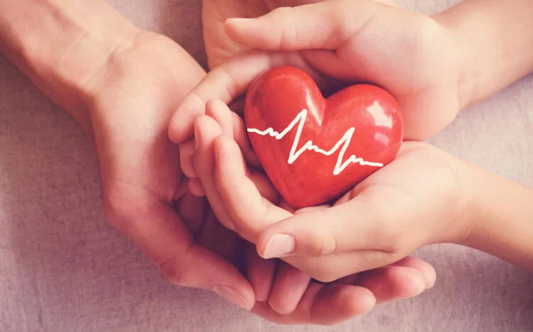 Understanding Heart Disease and the Role of Blood Pressure Medicines in Cardiovascular Health