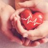 Understanding Heart Disease and the Role of Blood Pressure Medicines in Cardiovascular Health