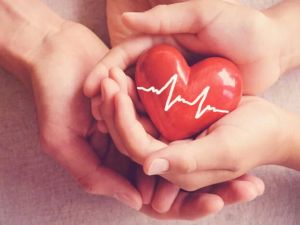 Understanding Heart Disease and the Role of Blood Pressure Medicines in Cardiovascular Health