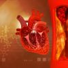 How Dietary Antioxidants Support Heart Health and Combat Heart Disease