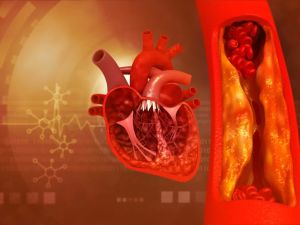 How Dietary Antioxidants Support Heart Health and Combat Heart Disease
