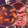 Exploring the Crucial Link Between Heart Disease and Gut Health