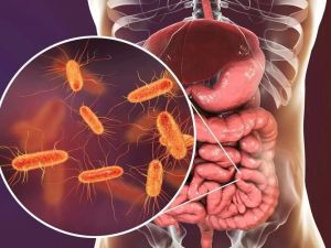 Exploring the Crucial Link Between Heart Disease and Gut Health