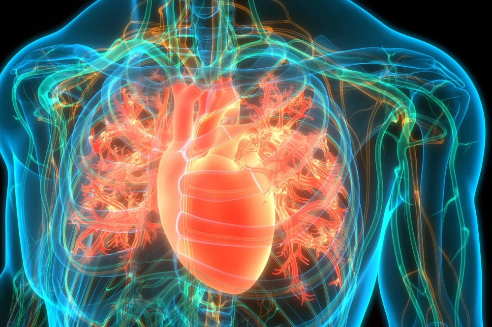 The Role of Omega-3 in Heart Disease Prevention and Cardiovascular Health