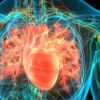 The Role of Omega-3 in Heart Disease Prevention and Cardiovascular Health