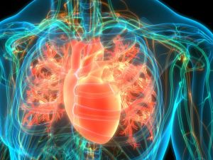 The Role of Omega-3 in Heart Disease Prevention and Cardiovascular Health