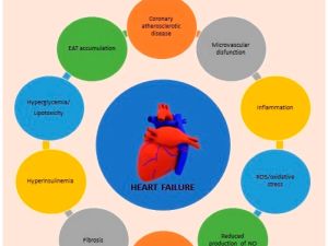 Effective Strategies for Heart Disease and Diabetes Management