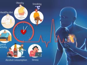Heart Disease and the Role of Potassium: Essential Insights for Cardiovascular Health