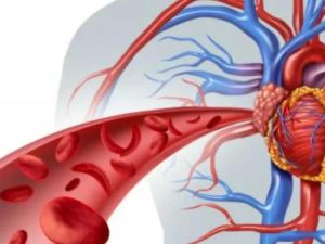 Heart Disease and Thrombosis Prevention: Essential Strategies for Better Health
