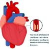 Heart Disease and Cholesterol Meters: Monitoring Your Heart Health Effectively