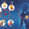 Understanding Heart Disease and High Blood Pressure Risks: Prevention and Management