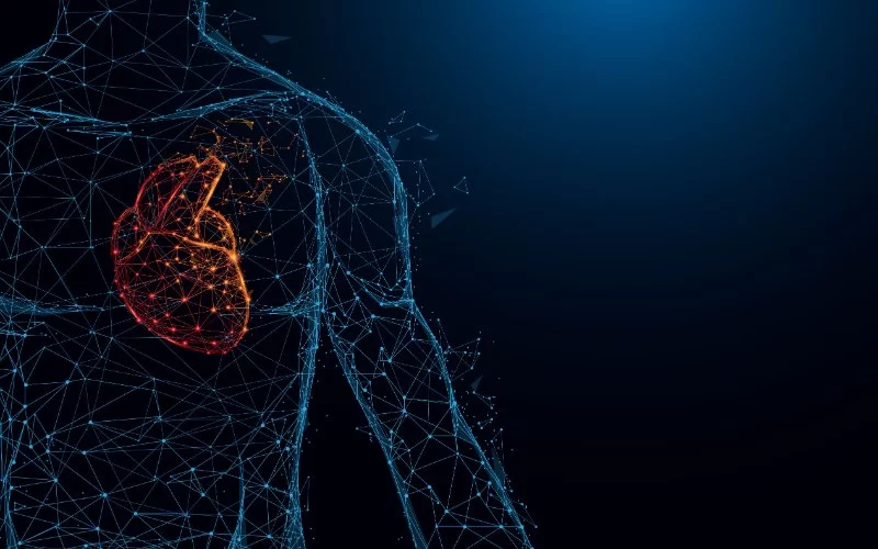 How AI Is Transforming Heart Health Through Early Diagnosis and Risk Prediction