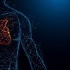 How AI Is Transforming Heart Health Through Early Diagnosis and Risk Prediction