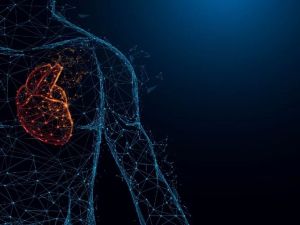 How AI Is Transforming Heart Health Through Early Diagnosis and Risk Prediction